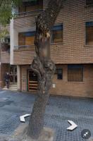 MilcaCeleste Nueva Cordoba II - B&B Córdoba