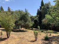 Executive home in a serene park like setting - B&B Folsom