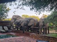Bateleur Lodge, Mabalingwe - B&B Bela-Bela