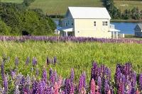 B&B Park Corner - Bela Vista Getaway - PEI Tourism License #1201185 - Bed and Breakfast Park Corner