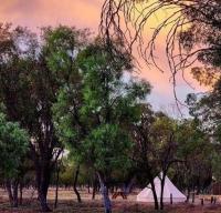 B&B Lightning Ridge - Box Flat Belle Off Grid Glamping - Bed and Breakfast Lightning Ridge