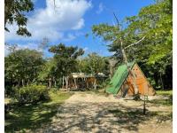 RAINBOW FOREST Permaculture filed - Vacation STAY 78984v - B&B