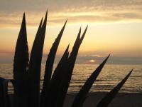 B&B Cristina - B&B