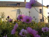 Manoir de la Guignardiere - Charme et Douceur - B&B Chavagne