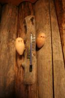 Log House Siesta - B&B Luosto