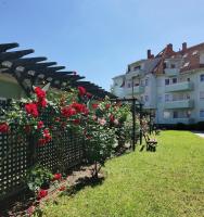 Rose Gold Apartment - Bed and Breakfast Zalaegerszeg