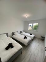 Maison moderne - B&B