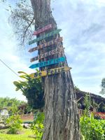 Finca Cafetera Madrigal - Café Sortiz - B&B Maravélez