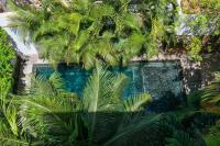 Come and Relax in the jungle of Tulum 4001 - B&B