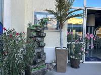 Plexus by DON - B&B Eforie Sud