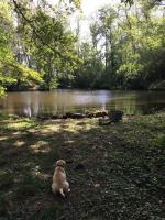 Charmant havre de paix à la campagne - Chambres d’hôtes Jouarre