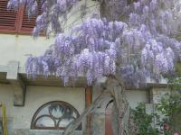 Holiday Home Bel Panorama Due - B&B