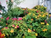 Casa do Pedro - Lisbon South Bay - B&B Almada