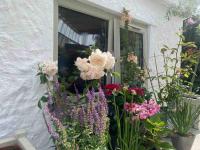 Luxury Cottage in Tregarth, Bethesda, Snowdonia - Chambres d’hôtes Tregarth