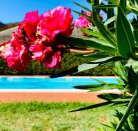 B&B Pescia - Casa BelMoro con piscina - Bed and Breakfast Pescia