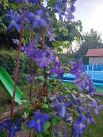 Roxana vendégház - B&B Szilvásvárad