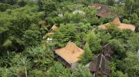 Ubuntu Bali Eco Yoga Retreat - CANGGU - B&B Canggu