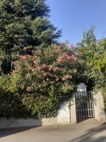 Apartament Cedro del Libano - B&B Marano