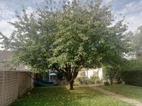 LE CERISIER - B&B Sivry-Courtry