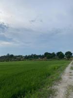 Anak Air Homestay, Serkam Islam Guest Only - Bed and Breakfast