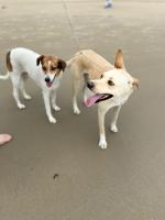 Casa da Ju - Ferienwohnung Penha