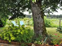 Chalet (7 adultos)