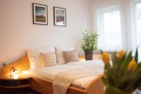 Habitación Familiar con terraza