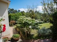 Apartamento Rural Margaride - B&B San Miguel