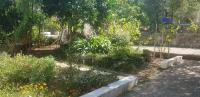 DOWNTOWN GARDEN - Chambres d’hôtes