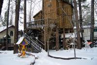 Tree House