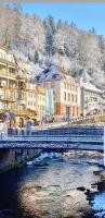 Gemütliche Wohnung im Zentrum von Bad Wildbad - B&B