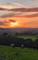 B&B Danby - Lilac Terrace Cottage - Bed and Breakfast Danby