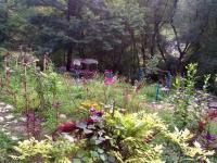 Lola - B&B Ambrolauri