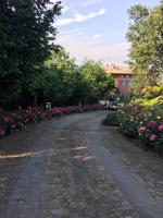 Tenuta Cantaia - B&B San Lorenzo in Collina