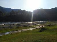 Yellow Valley Homestay - Bed and Breakfast Solan