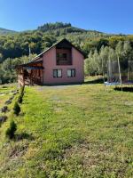 соколів камінь - Ferienwohnung Novoselytsia