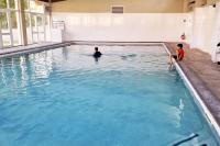 7mn de Deauville Jardin Wifi Box TV - B&B Saint-Arnoult