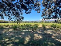 Maisonnette avec petite forêt - Ferienwohnung Valréas
