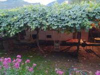 Guest House Nene - B&B Mestia