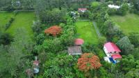 Villa unter Palmen - B&B Jarabacoa