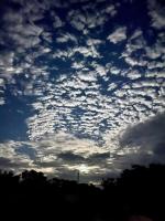 Deluxe Bungalow with Garden View