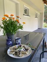 Agroturystyka u Sylwii - B&B Majdan Sopocki