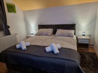 Deluxe Double or Twin Room with Garden View