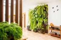 Casa da Avó Guilhermina - B&B Leiria