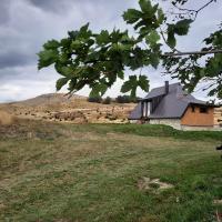 Zelenova koliba - B&B Zabljak