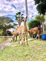 Casa de campo Cutucumay - B&B Chinauta
