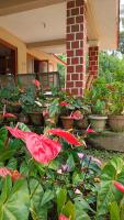 B&B Virajpet - Blue Petal Homestay - Bed and Breakfast Virajpet