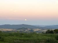 Windrose Blue Blossom - B&B Volterra