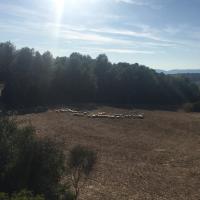Habitación Doble con vistas a la montaña