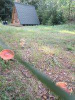 Korjuse Moor - Chambres d’hôtes Korjuse